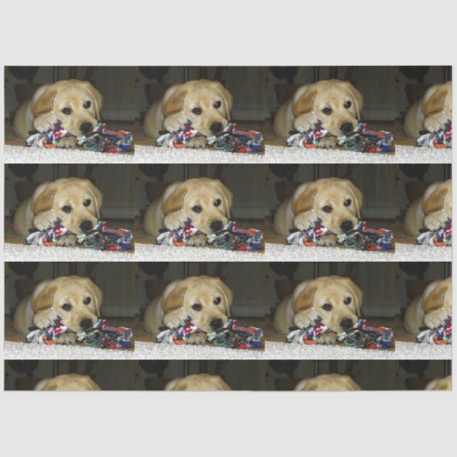 Papel De Seda Lápiz de laboratorio amarillo con juguete (Anverso)