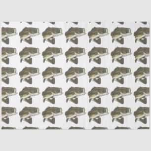 Papel De Seda Largemouth