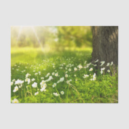 Papel De Seda Las alegrías de la primavera