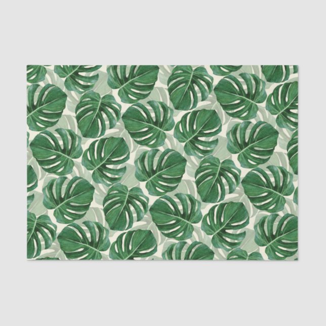 Papel De Seda Las hojas tropicales Monstera verde (Anverso)
