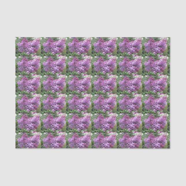 Papel De Seda Las lilas preciosas (Anverso)