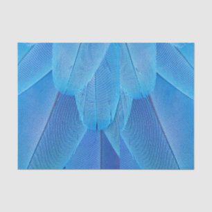 Papel De Seda Las plumas azules verde azuladas del loro de Macao