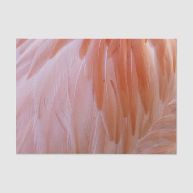 Papel De Seda Las plumas flamencas en tonos rosas (Anverso)