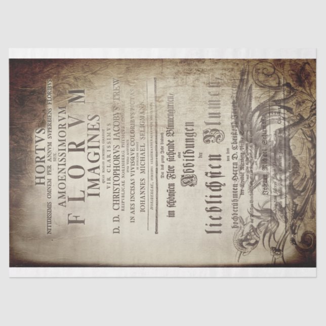 Papel De Seda Latin scrollwork (Anverso)