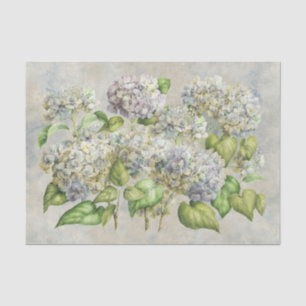 Papel De Seda Lavanda floral del Hydrangea en vintage gris