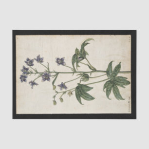 Papel De Seda Lavendar por Jacques de Morgues