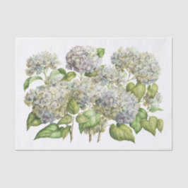 Papel De Seda Lavender Blue Hydrangea Bouquet Floral Botánico