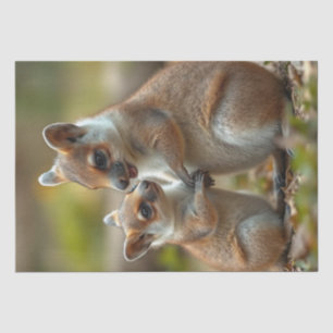 Papel De Seda Lecciones De Vida De Mama Y Baby Quokka,