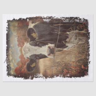 Papel De Seda Leche lechera de vaca Holstein Friesian