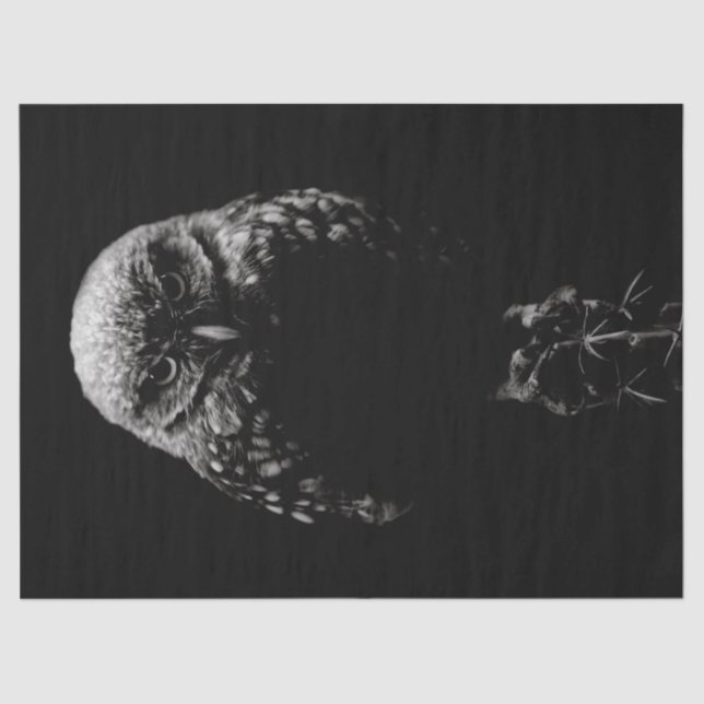 Papel De Seda 'Lechuza Ardiente' (Anverso)