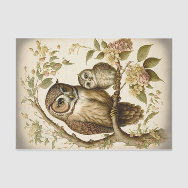 Papel De Seda Lechuza y bebé (Anverso)