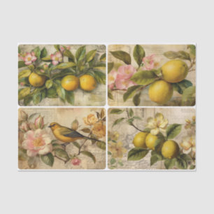 Papel De Seda Lemones