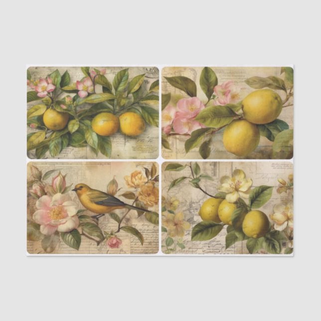 Papel De Seda Lemones (Anverso)