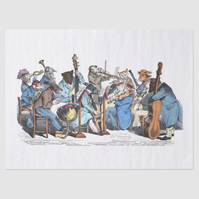 Papel De Seda LENGUAJE MUSICAL ANIMAL GRANJA ORQUESTA Cumpleaños (Anverso)
