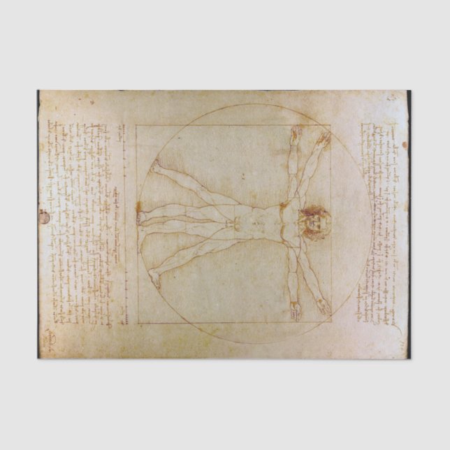Papel De Seda Leonardo Da Vinci, el hombre vitruviano, el renaci (Anverso)