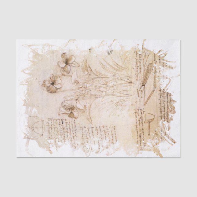 Papel De Seda Leonardo da Vinci inspirado (Anverso)