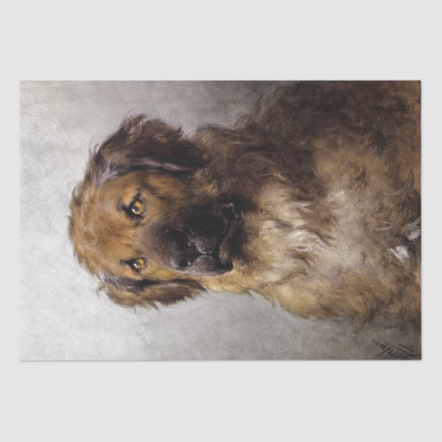 Papel De Seda Leonberger Dog de Otto Eerelman (Anverso)