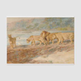Papel De Seda Leones en la ribera de un río africano