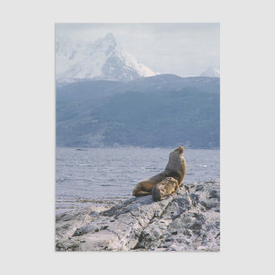 Papel De Seda Leones marinos en el canal de Beagle - Argentina
