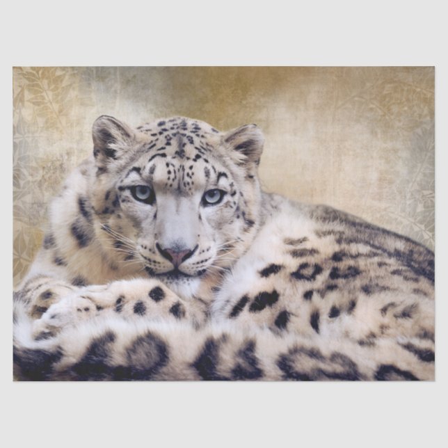 Papel De Seda Leopardo de las Nieves Acostado (Anverso)