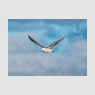 Papel De Seda Libertad en el vuelo, Ushuaia, Argentina