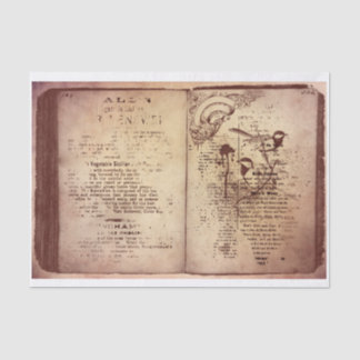 Papel De Seda Libro de época