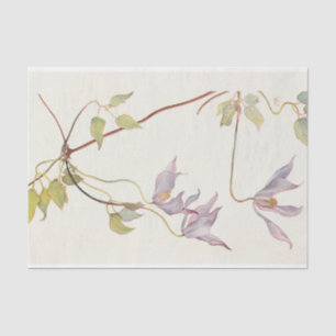 Papel De Seda Lilac Clematis de Margaret Armstrong
