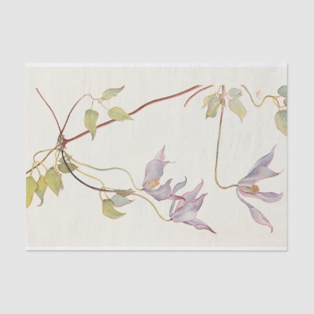 Papel De Seda Lilac Clematis de Margaret Armstrong (Anverso)