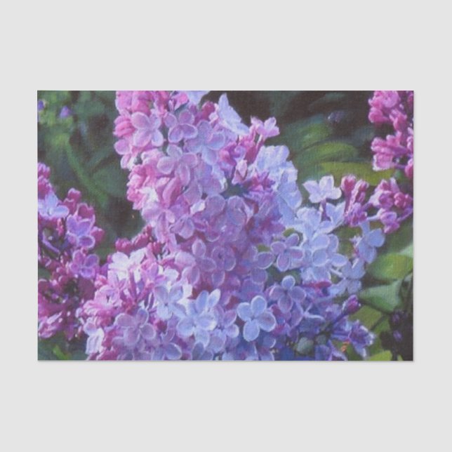 Papel De Seda Lilas de Lavendar (Anverso)