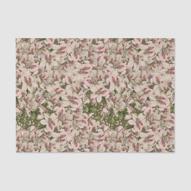 Papel De Seda Lilia de color rosa rosa romántico (Anverso)