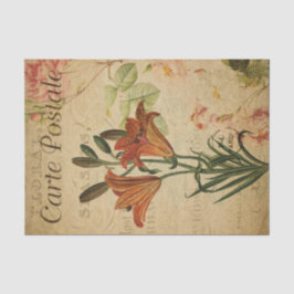 Papel De Seda Lilly Decoupage, Naranja francesa de postales Ephe