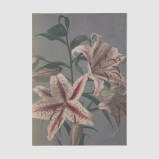 Papel De Seda Lily by Ogawa Kazumasa