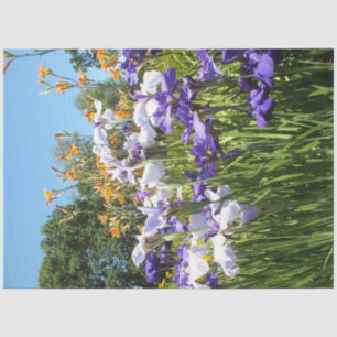 Papel De Seda Lily y Iris Garden Poster