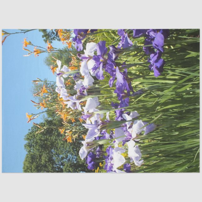 Papel De Seda Lily y Iris Garden Poster (Anverso)