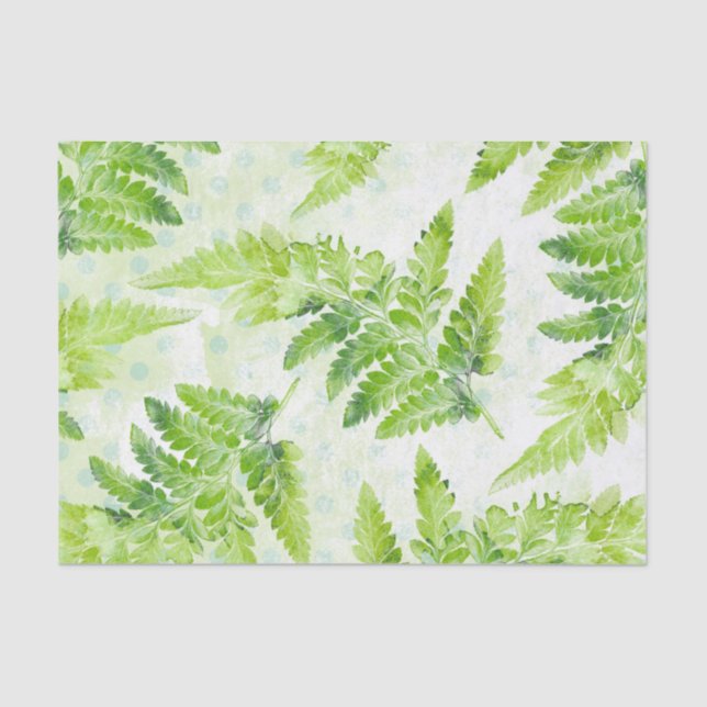 Papel De Seda Lindo patrón de acuarela botánica Green Fern (Anverso)
