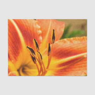 Papel De Seda Lirio tigre naranja