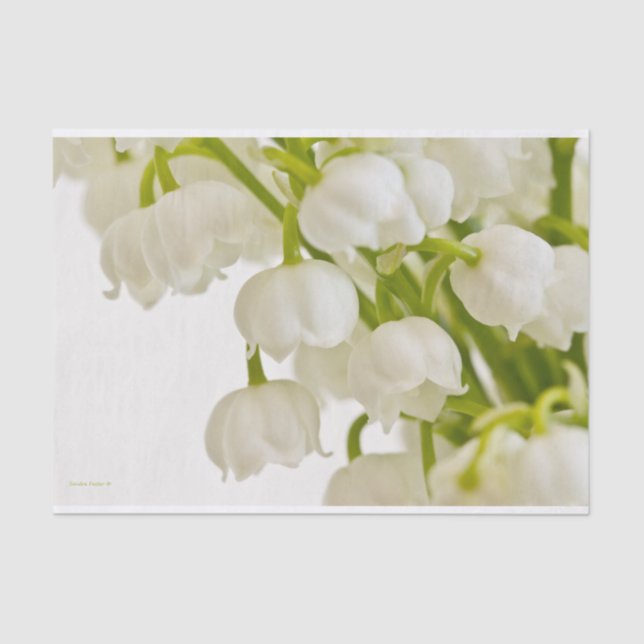 Papel De Seda Lirios blancos (Anverso)