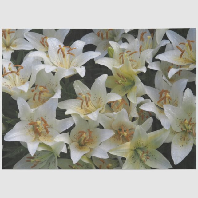 Papel De Seda Lirios Blancos (Anverso)