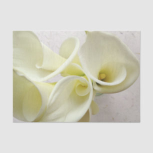 Papel De Seda Lirios de cal blanca por encima