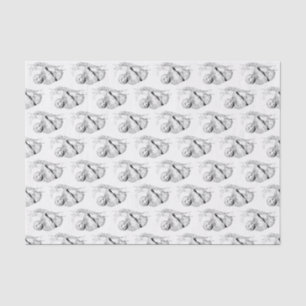 Papel De Seda Litografía de dibujo de eslora #1