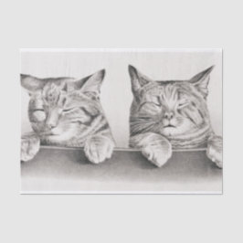Papel De Seda Litografía de Gatos Durmientes Vintage, 1874 Desnu
