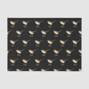 Papel De Seda Little Wren