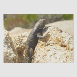 Papel De Seda Lizard espinoso con respaldo amarillo en el árbol