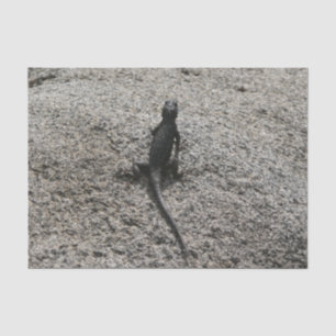 Papel De Seda Lizard negro
