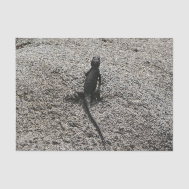 Papel De Seda Lizard negro (Anverso)