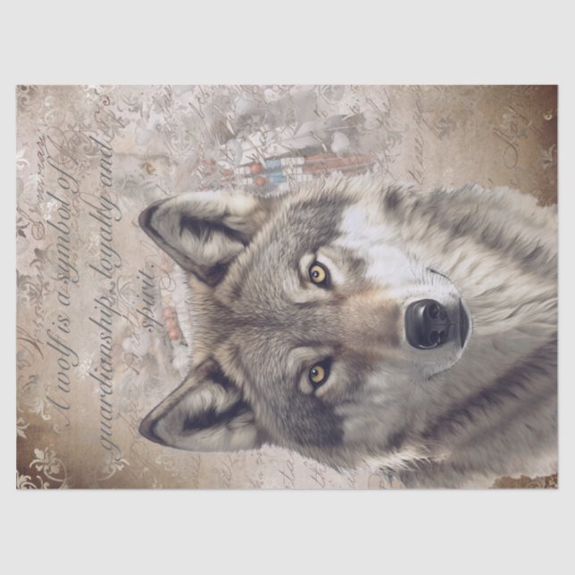 Papel De Seda Lobo americano (Anverso)