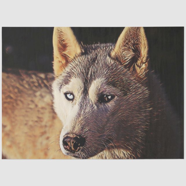 Papel De Seda lobo animal de smartmix (Anverso)