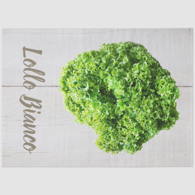 Papel De Seda Lollo Bianco Salad lechuga para Vegans (Anverso)