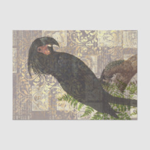 Papel De Seda Loro negro vintage