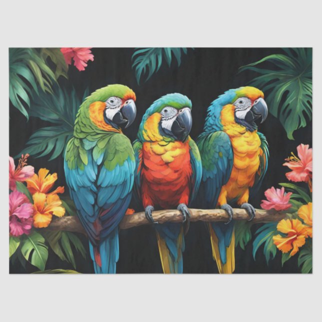 Papel De Seda Loros Tropicales (Anverso)